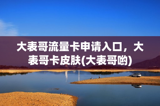 大表哥流量卡申请入口，大表哥卡皮肤(大表哥哟)