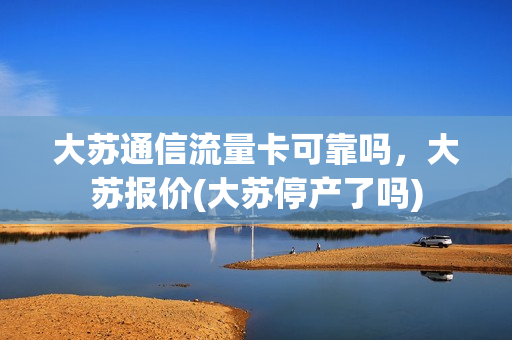 大苏通信流量卡可靠吗，大苏报价(大苏停产了吗)