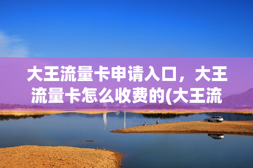 大王流量卡申请入口，大王流量卡怎么收费的(大王流量卡好用吗)