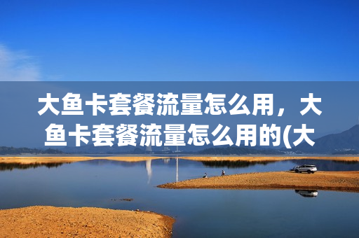 大鱼卡套餐流量怎么用，大鱼卡套餐流量怎么用的(大鱼卡最新免流范围)