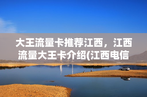大王流量卡推荐江西，江西流量大王卡介绍(江西电信大王卡19元套餐)