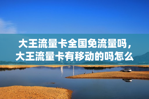 大王流量卡全国免流量吗，大王流量卡有移动的吗怎么用(大王流量卡好用吗)