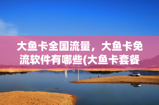 大鱼卡全国流量，大鱼卡免流软件有哪些(大鱼卡套餐介绍)