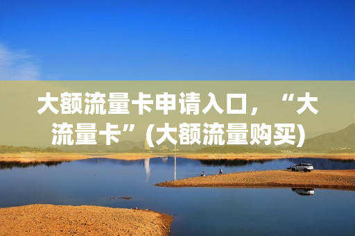 大额流量卡申请入口，“大流量卡”(大额流量购买)