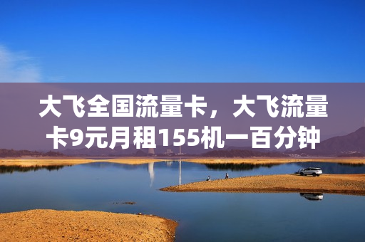 大飞全国流量卡，大飞流量卡9元月租155机一百分钟通话在那伸请(大飞价格)