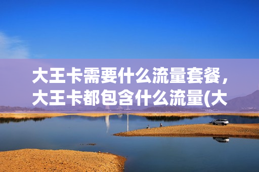 大王卡需要什么流量套餐，大王卡都包含什么流量(大王卡办什么流量套餐合适)