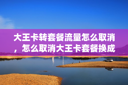 大王卡转套餐流量怎么取消，怎么取消大王卡套餐换成普通卡(怎么转回大王卡套餐)
