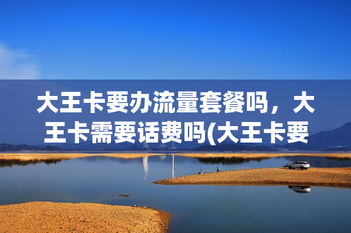大王卡要办流量套餐吗，大王卡需要话费吗(大王卡要钱买吗)