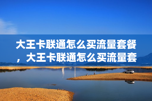 大王卡联通怎么买流量套餐，大王卡联通怎么买流量套餐的(联通大王卡在哪里买流量)