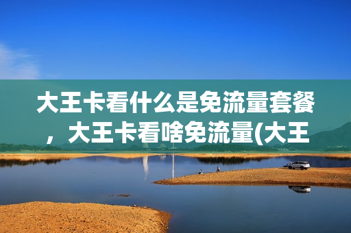 大王卡看什么是免流量套餐，大王卡看啥免流量(大王卡看什么不收费)