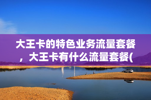 大王卡的特色业务流量套餐，大王卡有什么流量套餐(大王卡的流量套餐是什么)