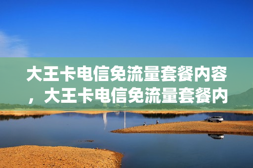 大王卡电信免流量套餐内容，大王卡电信免流量套餐内容有哪些(中国电信大王卡免流)