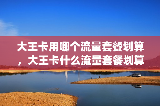 大王卡用哪个流量套餐划算，大王卡什么流量套餐划算(大王卡流量好用吗)