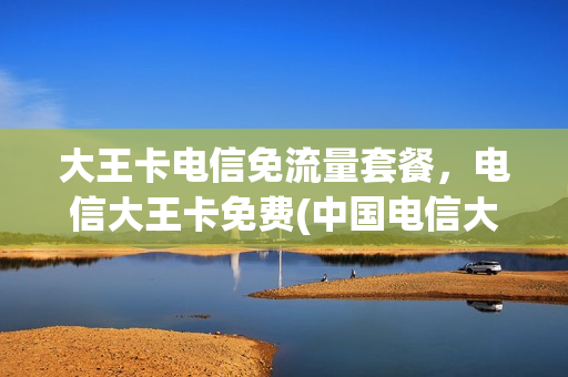 大王卡电信免流量套餐，电信大王卡免费(中国电信大王卡免流)
