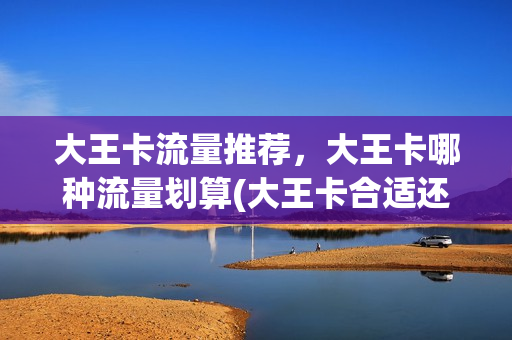 大王卡流量推荐，大王卡哪种流量划算(大王卡合适还是流量卡合适)