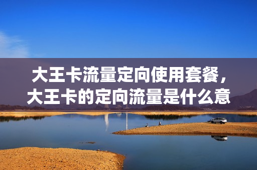 大王卡流量定向使用套餐，大王卡的定向流量是什么意思(大王卡定向流量包括)