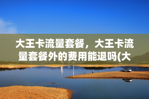大王卡流量套餐，大王卡流量套餐外的费用能退吗(大王卡流量包怎么退)