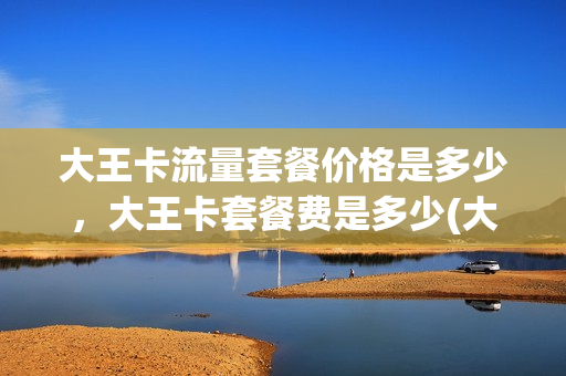 大王卡流量套餐价格是多少，大王卡套餐费是多少(大王卡流量收费标准)