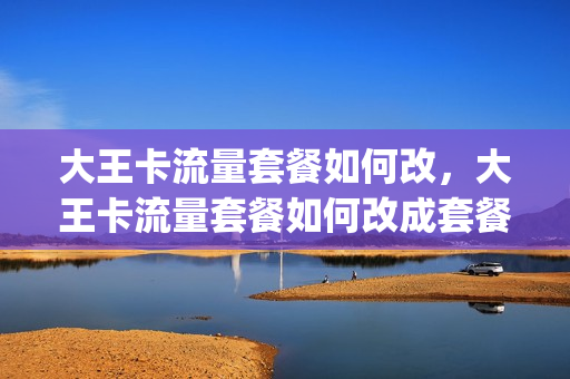 大王卡流量套餐如何改，大王卡流量套餐如何改成套餐(大王卡怎么改流量套餐)