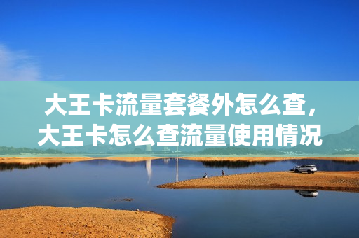 大王卡流量套餐外怎么查，大王卡怎么查流量使用情况(大王卡咋查流量)