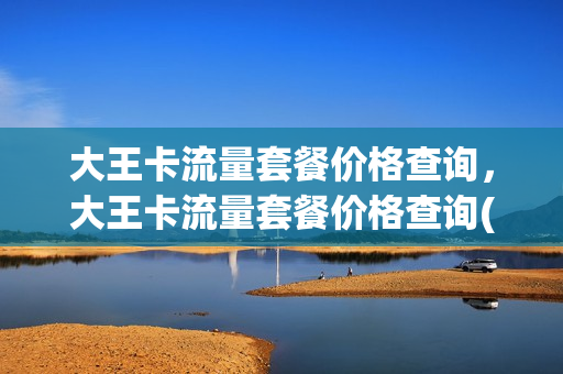 大王卡流量套餐价格查询，大王卡流量套餐价格查询(大王卡的流量套餐是什么)