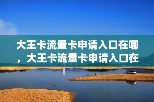大王卡流量卡申请入口在哪，大王卡流量卡申请入口在哪看(流量大王卡如何激活)