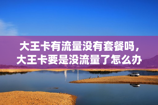 大王卡有流量没有套餐吗，大王卡要是没流量了怎么办(大王卡没流量了还能免流吗)