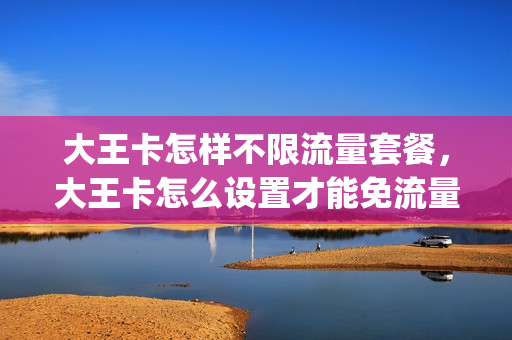 大王卡怎样不限流量套餐，大王卡怎么设置才能免流量(大王卡怎么设置只用免流量)
