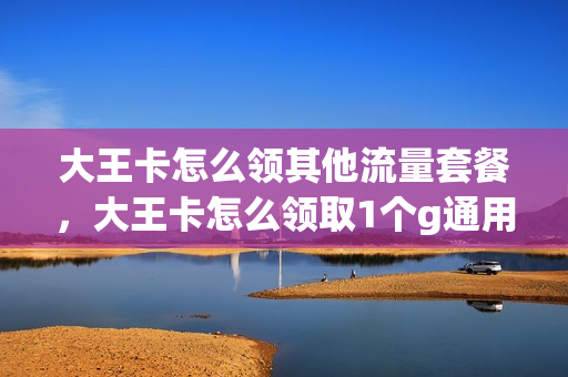 大王卡怎么领其他流量套餐，大王卡怎么领取1个g通用流量(大王卡如何领取流量)