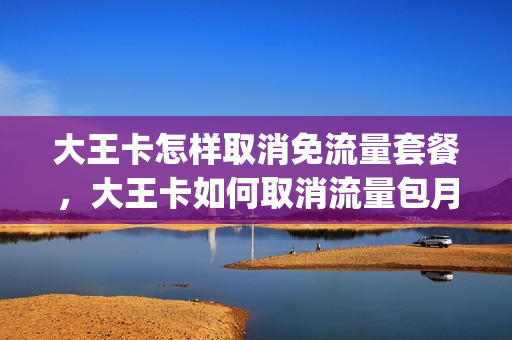 大王卡怎样取消免流量套餐，大王卡如何取消流量包月租费(如何取消大王卡的套餐)