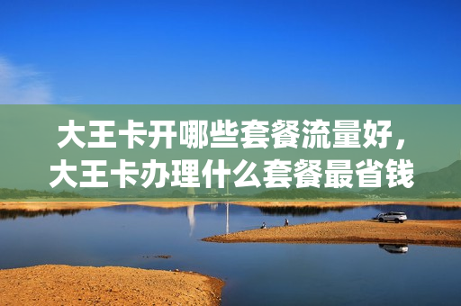 大王卡开哪些套餐流量好，大王卡办理什么套餐最省钱(大王卡开什么套餐划算)