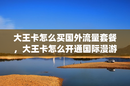 大王卡怎么买国外流量套餐，大王卡怎么开通国际漫游(大王卡国外流量怎么算)