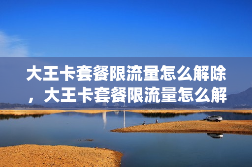 大王卡套餐限流量怎么解除，大王卡套餐限流量怎么解除限速(大王卡流量限制解除)