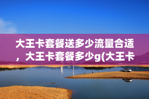 大王卡套餐送多少流量合适，大王卡套餐多少g(大王卡送1g)