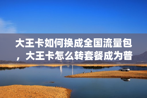 大王卡如何换成全国流量包，大王卡怎么转套餐成为普通卡(大王卡怎么换成其他套餐)