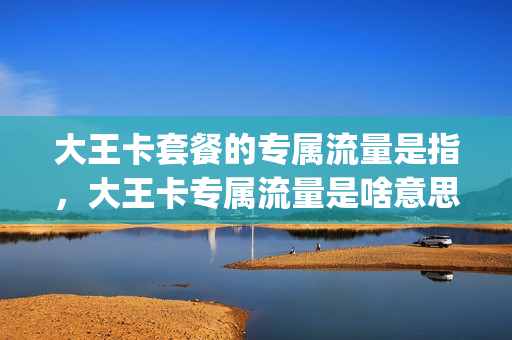 大王卡套餐的专属流量是指，大王卡专属流量是啥意思(大王卡专属流量和免流量的区别)