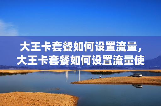 大王卡套餐如何设置流量，大王卡套餐如何设置流量使用(大王卡怎么选择套餐)