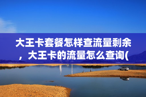 大王卡套餐怎样查流量剩余，大王卡的流量怎么查询(大王卡如何查看套餐)