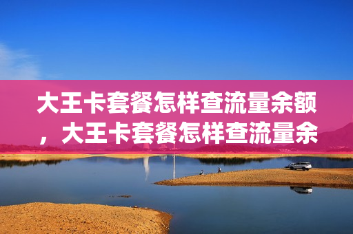 大王卡套餐怎样查流量余额，大王卡套餐怎样查流量余额明细(大王卡套餐在哪里查询)