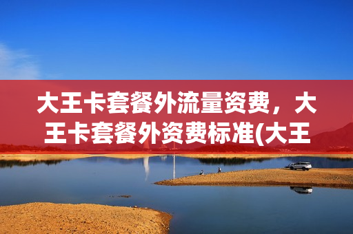 大王卡套餐外流量资费，大王卡套餐外资费标准(大王卡套餐外流量是什么意思)
