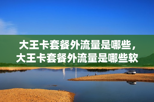 大王卡套餐外流量是哪些，大王卡套餐外流量是哪些软件(大王卡套内流量和套外流量)
