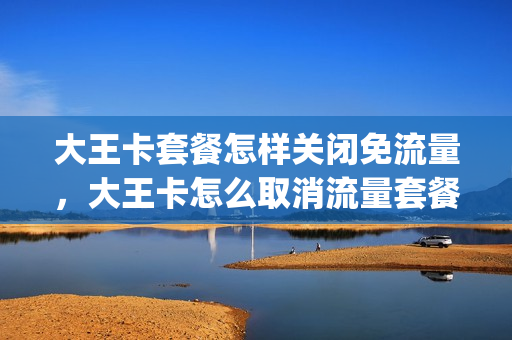 大王卡套餐怎样关闭免流量，大王卡怎么取消流量套餐包(大王卡的流量套餐怎么取消)