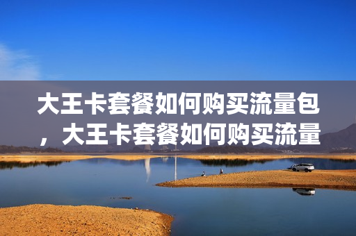 大王卡套餐如何购买流量包，大王卡套餐如何购买流量包的(大王卡怎么订购流量包)