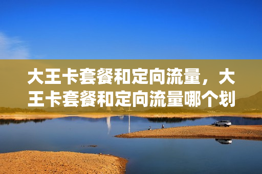 大王卡套餐和定向流量，大王卡套餐和定向流量哪个划算(大王卡的定向流量是啥)