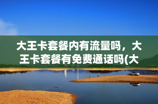大王卡套餐内有流量吗，大王卡套餐有免费通话吗(大王卡套餐还有吗)