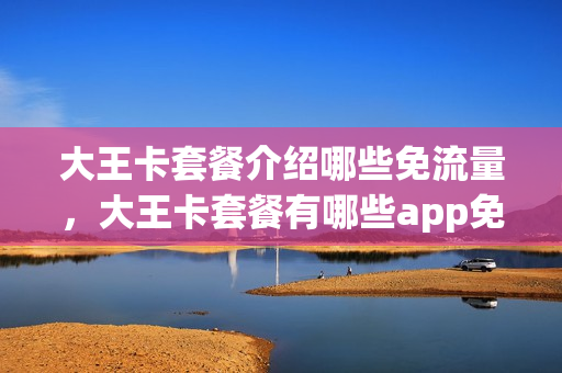大王卡套餐介绍哪些免流量，大王卡套餐有哪些app免费(大王卡套餐有哪些是免流)