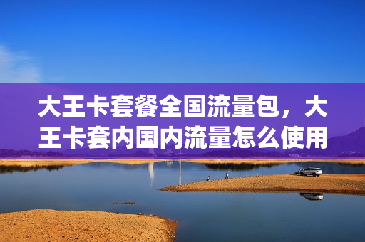 大王卡套餐全国流量包，大王卡套内国内流量怎么使用(大王卡套餐流量是多少)