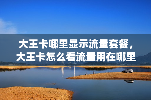 大王卡哪里显示流量套餐，大王卡怎么看流量用在哪里(大王卡哪里看流量使用)