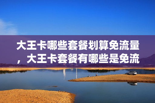 大王卡哪些套餐划算免流量，大王卡套餐有哪些是免流(大王卡哪些免流量 范围)