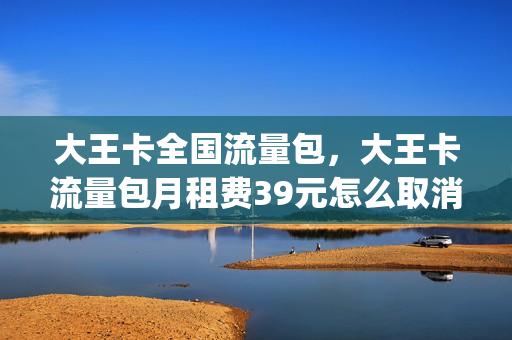 大王卡全国流量包，大王卡流量包月租费39元怎么取消(大王卡30元流量包怎么取消)